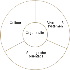 schema organisatie